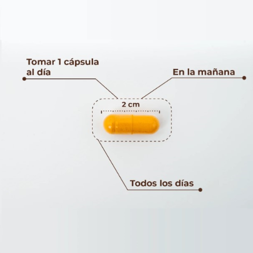 Kobho Labs Cúrcuma + Pimienta Negra 60 cápsulas