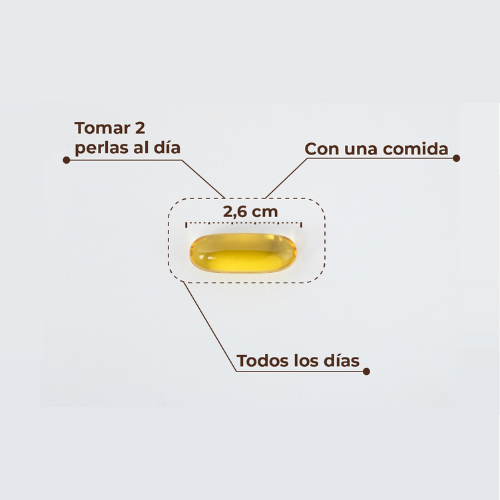 Kobho Labs Omega 3 60 cápsulas