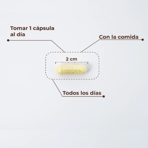 Kobho Labs Trans Resveratrol + Quercetina 60 cápsulas